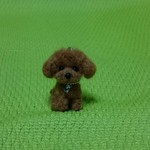 トイプードル レッド ストラップ 羊毛フェルト