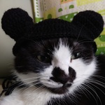 ☆ネコちゃんのぼうし☆ねずみさん21☆猫帽子☆ねこ☆ねずみキャラ☆