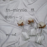 【tn-minnie様専用ページ】