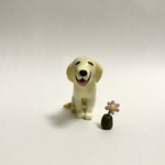 ラブラドールさんとお花