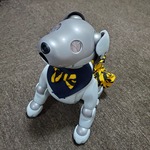🐯とらとらセット💙ブルー🐯