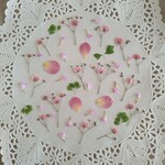 押し花素材　No941　ピンク系小花のセット