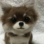 羊毛フェルト　チワワ