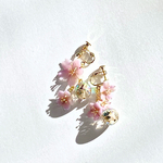 春ヲ待ツ桜～朝露に濡れる