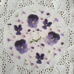 押し花素材　No946　パープル系のミックスセット