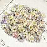 小粒　かすみ草　ドライフラワー　pastel mix