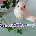 7111sophi様専用