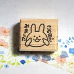 I-212-111 この目でみました　うさぎ