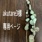 akutare3様専用ページ