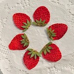 押し花素材(イチゴの押し花)