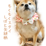 ペット用もくもくスタイ♡しばの矢絣柄(ピンク)♡リボンオプション 柴犬 しばいぬ 和柄 ハイカラ