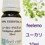 ｱﾛﾏｵｲﾙ ユーカリ グロブルス 10ml (エッセンシャルオイル・精油)