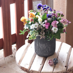 フェアリーチュールとバラ咲きジュリアンの花束植え