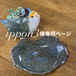 癒しの小桜インコの植木鉢&多肉植物寄せ植え&葉皿&青空プレート４点セット