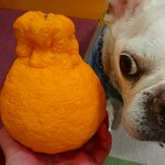 ローランちゃん専用ページ