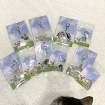Sアクリルキーホルダー