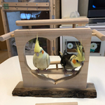 ⌘ 🐦止まり木🐤（愛鳥さんと同じ目線で・・・）