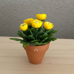 ラナンキュラスの花鉢  e