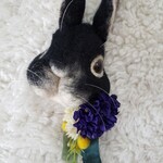 ko…さまお取り置きうさぎセット