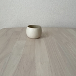 カップ