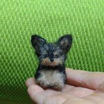 ヨークシャーテリア パピー  羊毛フェルト