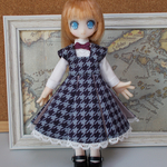 ジャンスカセット　青×灰千鳥　ピコニーモD・パラボックル用