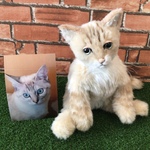 a様オーダーメイド品(愛猫ちゃん成猫)