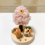 桜の入園式
