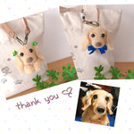ayn…様専用♡毛糸わんこ『うちの子オーダー』(mii wool&wool)