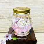 【2021新作】🌿SAKURA bijou lagoon🌿
