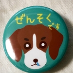 花粉症・ぜんそくですビーグル　缶バッジ38mm