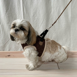 ベスト付きリード　大  犬グッズ ペットウェア ペットアクセサリー ランマルシェ  