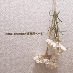 hana-chanman様専用ページ*°