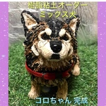 nonnonbaba様専用 樹脂粘土オーダーメイド コロちゃん と QOOちゃん  2020年度ご予約分金額