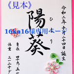 命名　(半紙希望)