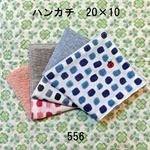 3枚セット ハンカチ てんとうむし ダブルガーゼタオル 20×10 556