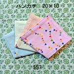 3枚セット ハンカチ カラフルガーランド ダブルガーゼタオル 20×10 557