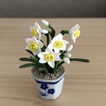 水仙の花鉢  