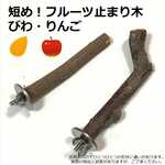 短め！小鳥用フルーツ止まり　りんご・桃　2本セット