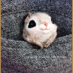 癒しの妖精✿momoちゃん　ポケットの中からちょこんと顔出しバージョン2