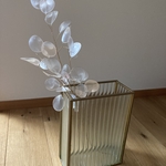 ルナリア　ディップアート