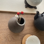 knot  楊枝　　小椿　紅白　- Camellia-