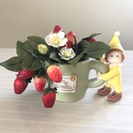 小人のいちご狩り❗️苺のインテリア🍓再販なし‼️パンフラワーの苺と粘土の人形！
