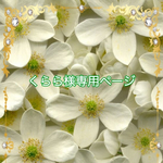 こちら💁🏻‍♀️はくらら様専用ページです