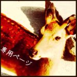 きのこん様専用ページ