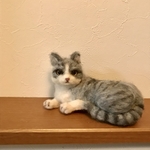 サバトラ猫