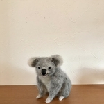 コアラ