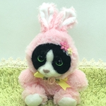 うさぎの着ぐるみ猫ちゃん　ハチワレ猫ちゃん