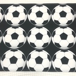  35cm✖️50cm ランチョンマット☆サッカーボール⚽️