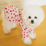オーダーメイド❤️ランダムハート❤️フリルワンピ❤️フリルロンT❤️ 韓国生地　犬服